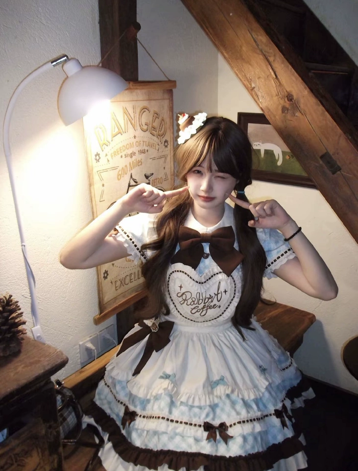 Sweet Plaid and White Lace Maid Lolita Dress with Apron